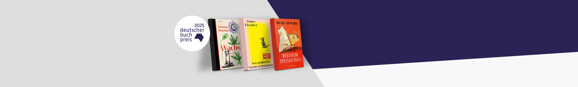 Deutscher Buchpreis 2025 Longlist