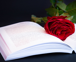 Buch mit Rose