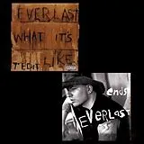 Everlast Single (analog) 7-What Its Like/Ends