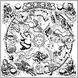 Chris -Brotherhood- Robinson CD The Magic Door