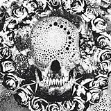 New Lows LP+Download Abhorrent Endings (Vinyl)