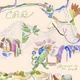 Chris-Brotherhood- Robinson CD Barefoot In The Head