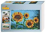 Hama 3608 - Hama Art Geschenkbox Van Gogh-Sonnenblumen mit ca. 10000 Midi-Bügelperlen, Stiftplatten und Zubehör Spiel