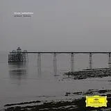 Gudnadottir,Hildur Vinyl Without Sinking