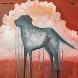 Charlie Parr CD Dog