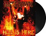 Crown,The Vinyl Hell Is Here (sleeve)