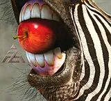 A-Z CD A-Z