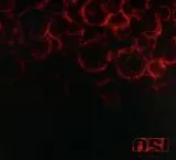 OSI CD Blood (re-issue + Bonus)