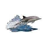 Shape Puzzle Junior Delfin Spiel