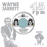 Wayne/Roots Radics Jarrett Vinyl Love In A Mi Heart/Blood On His Lips