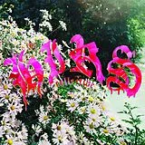 The Hirs Collective CD Friends. Lovers. Favorites.