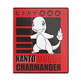 Pokémon - Charmander 2" Album Spiel