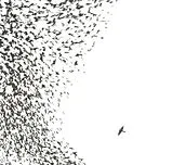 Wilco LP (analog) Sky Blue Sky