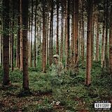 Grandson LP (analog) I Love You,I M Trying