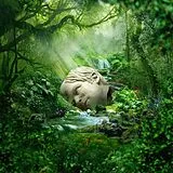 Weezer CD Sznz:spring