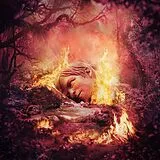 Weezer CD Sznz:summer