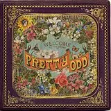 Panic! At The Disco LP (analog) Pretty.odd.