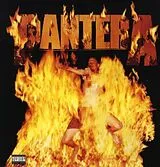 Pantera Vinyl Reinventing The Steel (Vinyl)