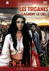 Les Tziganes montent au ciel DVD
