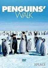 Penguins Walk DVD