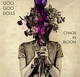 Goo Goo Dolls LP (analog) Chaos In Bloom