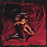 The Afghan Whigs Vinyl Congregation
