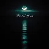 Band Of Horses LP (analog) Cease To Begin