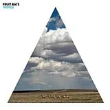 Fruit Bats CD Tripper