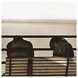 Metz Vinyl Ii (Vinyl)
