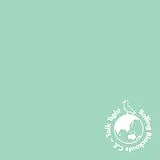 Rolling Blackouts Coastal Fever Vinyl Talk Tight