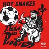 Hot Snakes CD Audit In Progress