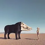 Man Man LP (analog) Dream Hunting In The Valley Of The In-between