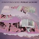 Downtown Boys CD Public Luxury