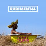 Rudimental Vinyl Toast To Our Differences