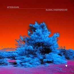 Various CD Global Underground:afterhours 9