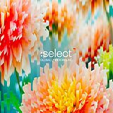 Various CD Global Underground:select #5