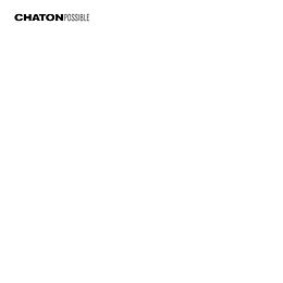 Chaton Vinyl Possible