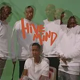 The Internet LP (analog) Hive Mind