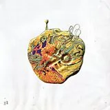 Pion LP (analog) 22:22