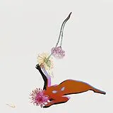 Future Islands LP (analog) The Far Field
