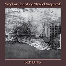 Deerhunter Vinyl Why Hasn't Everything Already