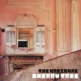 National, The Maxi Single (analog) Cherry Tree Ep