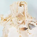 Pale Saints LP (analog) In Ribbons