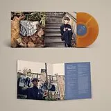 Belle And Sebastian Vinyl Late Developers