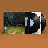 Yo La Tengo LP (Vinyl) This Stupid World