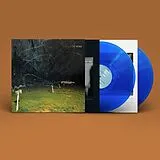 Yo La Tengo Vinyl This Stupid World