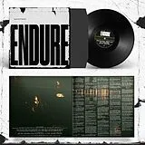 Special Interest LP (analog) Endure