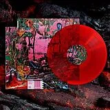 Black Midi Vinyl Hellfire (transp. Red Vinyl)