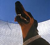 Overmono CD Good Lies