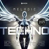 Various LP (analog) Melodic Techno 2025